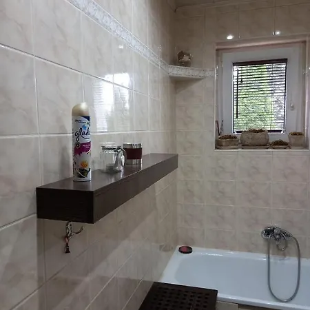 Apartment Domek Sierakow (Greater Poland)